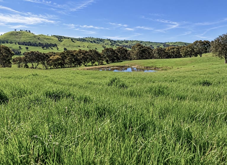 Click to view all images 1511 Lake Road Bethanga VIC 3691 - Image 3