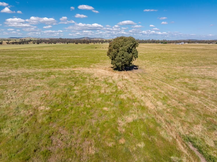 Click to view all images 73 Pattersons Road Wagga Wagga NSW 2650 - Image 3