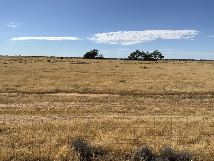 Click to view all images 327 Thelangerin Road Hay NSW 2711 - Image 3