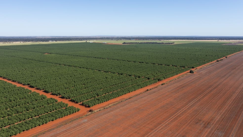Click to view all images Square Well Lane Hillston NSW 2675 - Image 2