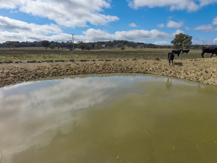 Click to view all images 232 Springfield Road Deepwater NSW 2371 - Image 3