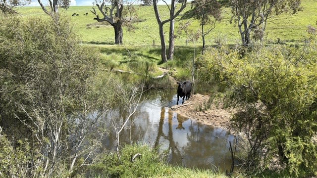 Click to view all images 0 Mooree Road Chetwynd VIC 3312 - Image 2