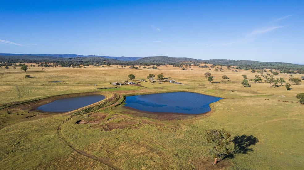 Click to view all images 1872 Reedy Creek Road Tenterfield NSW 2372 - Image 2
