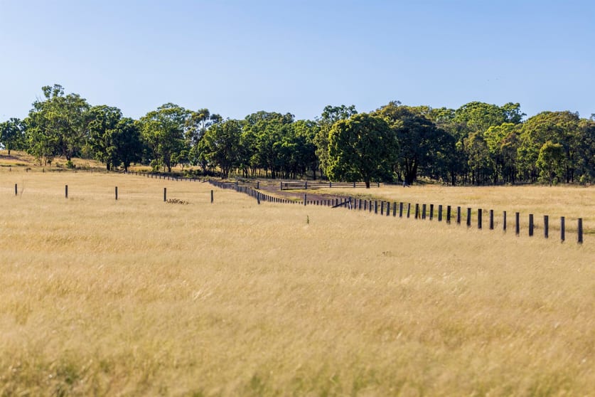 Click to view all images 1872 Reedy Creek Road Tenterfield NSW 2372 - Image 3