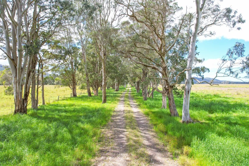 Click to view all images 250 Booral Road Bulahdelah NSW 2423 - Image 3
