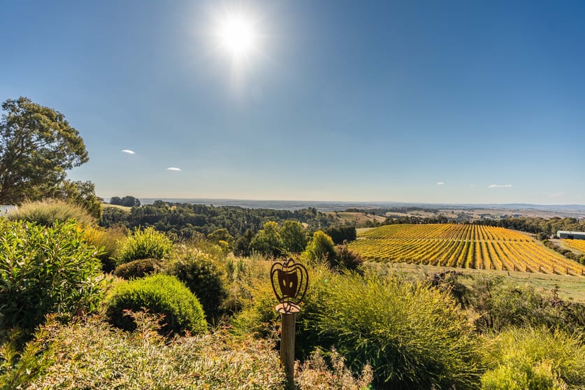 Click to view all images 126 Mount Lofty Road Orange NSW 2800 - Image 1