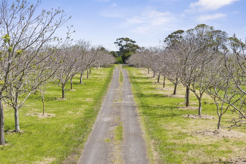 Click to view all images 815 & 825 Nalangil Road Corunnun VIC 3249 - Image 2