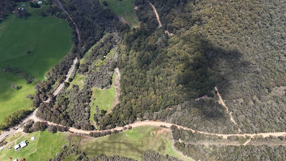 795 Valley of the Giants Road Tingledale WA 6333 - Image 1