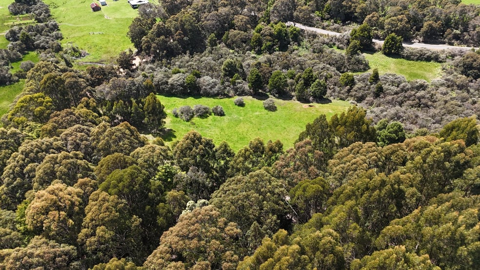 795 Valley of the Giants Road Tingledale WA 6333 - Image 2