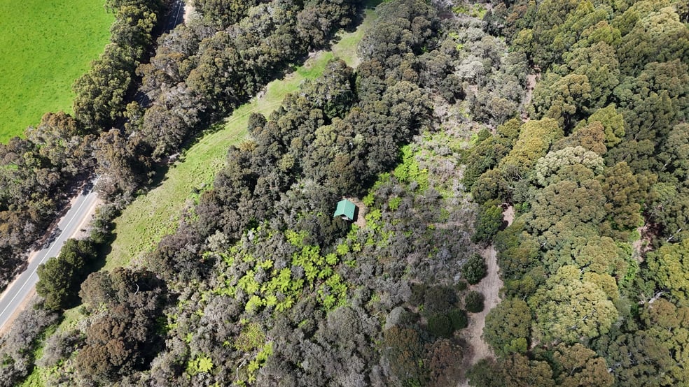 795 Valley of the Giants Road Tingledale WA 6333 - Image 3