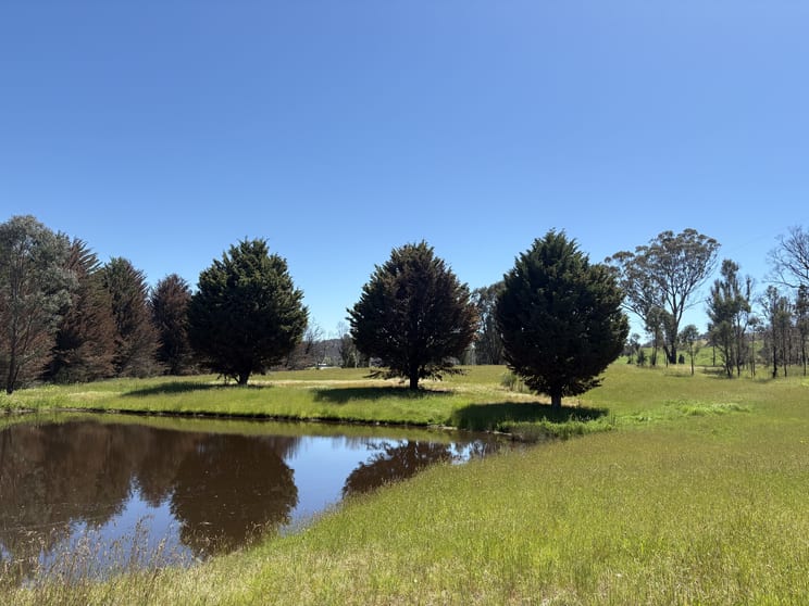 Click to view all images 950 Yarck Rd Yarck VIC 3719 - Image 2