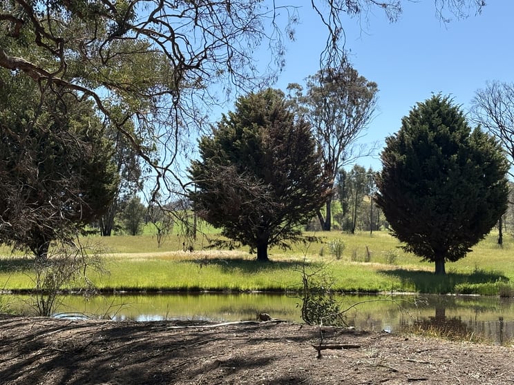 Click to view all images 950 Yarck Rd Yarck VIC 3719 - Image 3