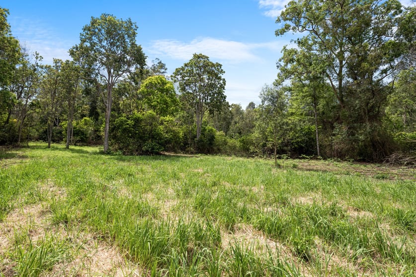 Lot 15 Gradys Creek Road Cougal NSW 2474 - Image 3