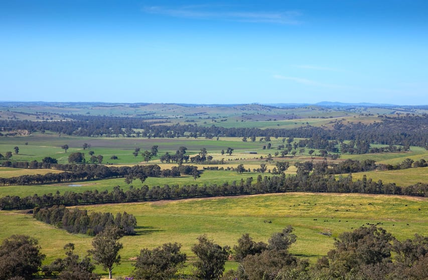 2063 Oura Road Wagga Wagga NSW 2650 - Image 3