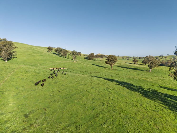 Click to view all images 686 Killingworth Road Killingworth VIC 3717 - Image 2