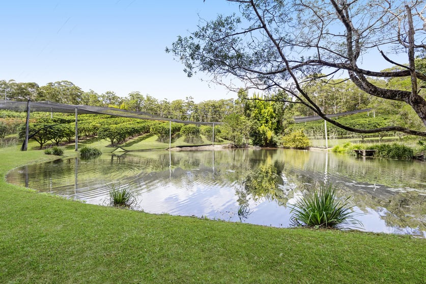Click to view all images 101 Wilson Road Ilkley QLD 4554 - Image 1