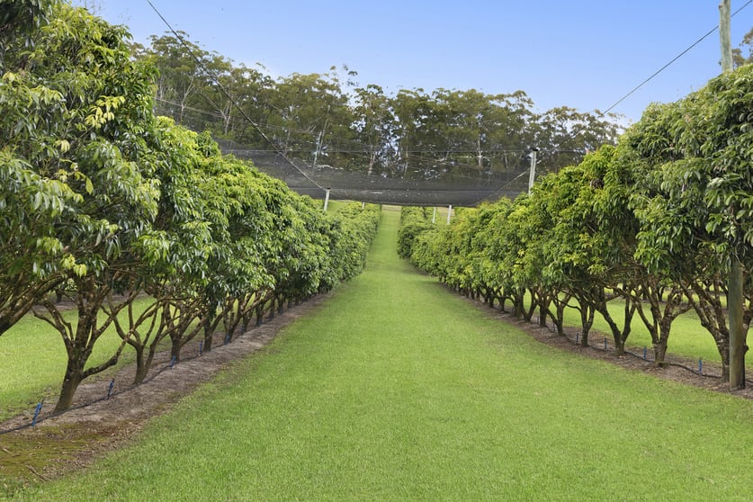 Click to view all images 101 Wilson Road Ilkley QLD 4554 - Image 2