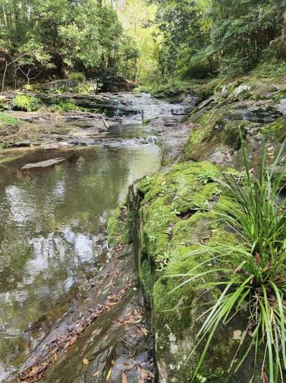 Click to view all images 319 Highlands Road Eudlo QLD 4554 - Image 2