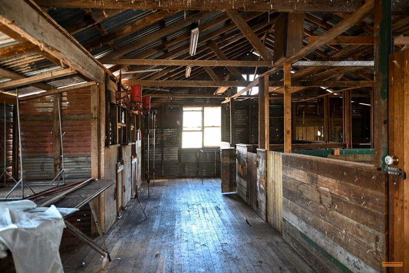 Click to view all images "Mount Frazer" Myalla Road Springfield NSW 2630 - Image 3