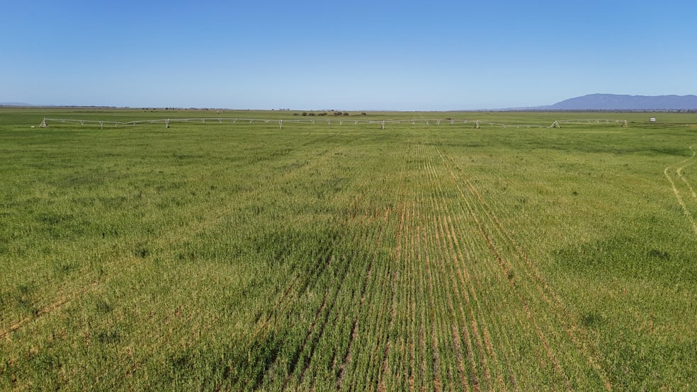'Willochra' Willochra Road Wilmington SA 5485 - Image 2