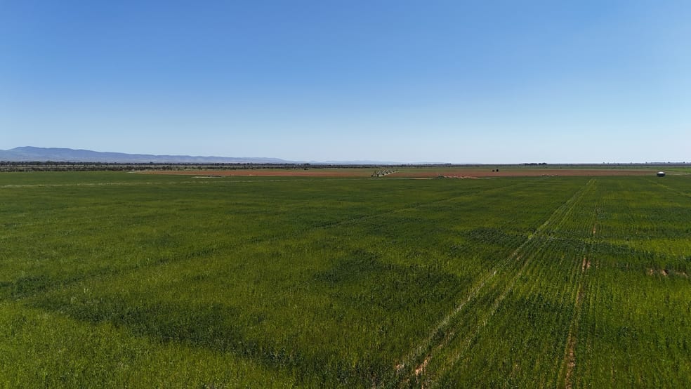 'Willochra' Willochra Road Wilmington SA 5485 - Image 3