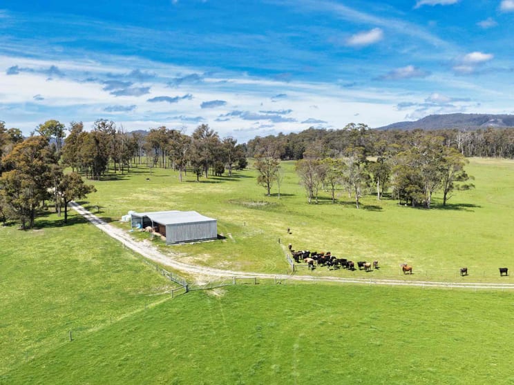 Click to view all images 29 Glengarry Road Glengarry TAS 7275 - Image 3