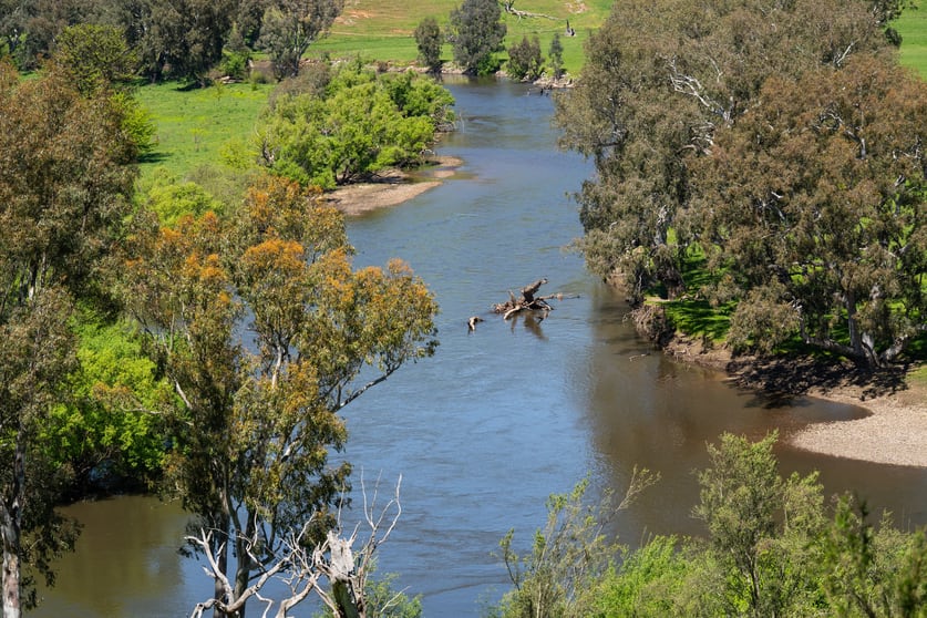 1159 River Road Ournie NSW 2640 - Image 3