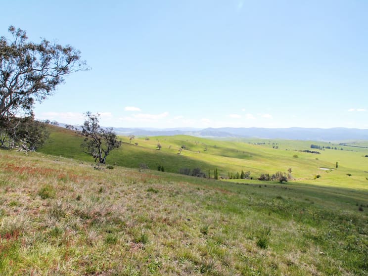 212 Racecourse Road Hinnomunjie VIC 3898 - Image 1