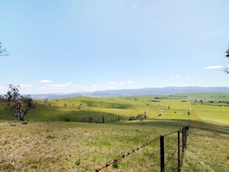 212 Racecourse Road Hinnomunjie VIC 3898 - Image 2