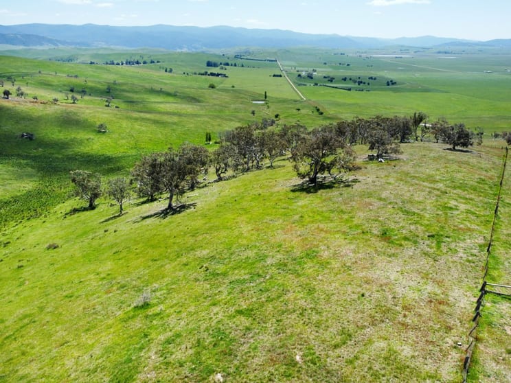 212 Racecourse Road Hinnomunjie VIC 3898 - Image 3