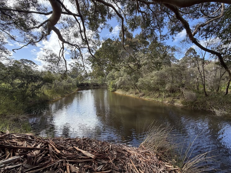 47 Pittam Way Shadforth WA 6333 - Image 3