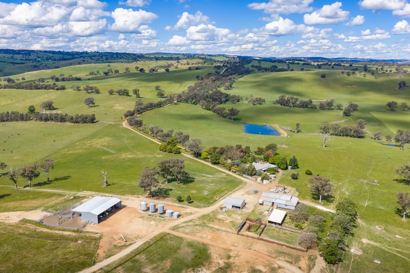 Click to view all images 229 Wallaces Lane Panuara NSW 2800 - Image 2