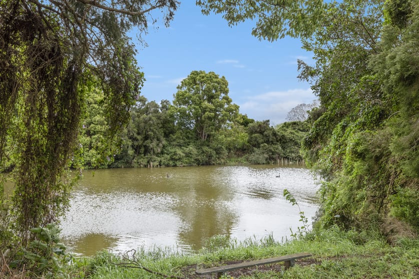 Click to view all images 443 Belmore River Right Bank Road Belmore River NSW 2440 - Image 3