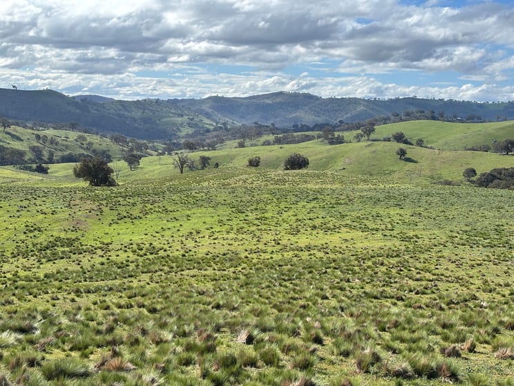 Click to view all images 1294 Red Hill Road Upper Turon NSW 2795 - Image 3