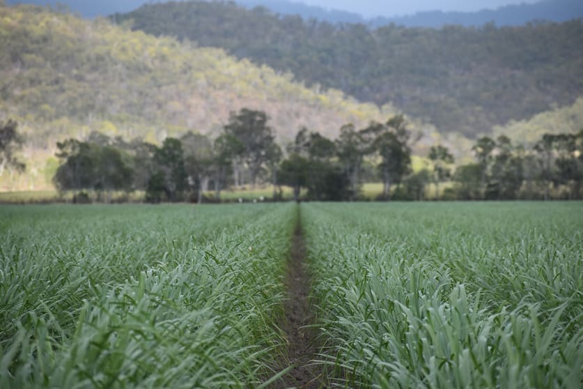 Click to view all images 1379-1383 Gunyarra Road Andromache QLD 4800 - Image 1