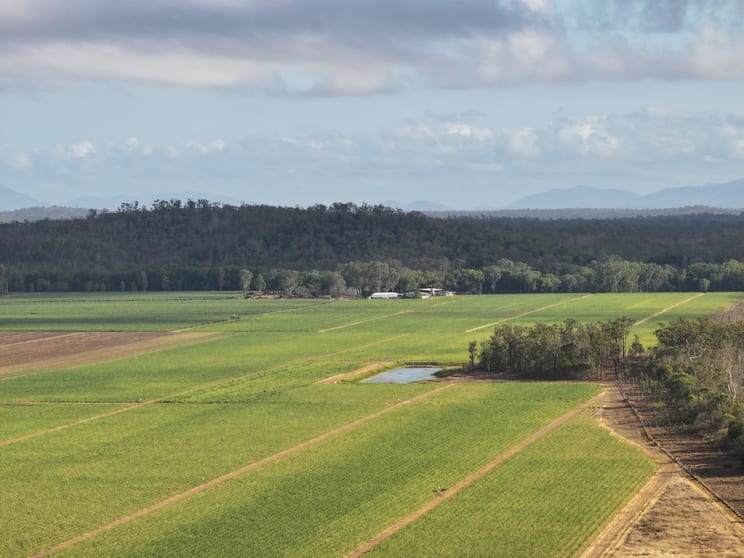 Click to view all images 1379-1383 Gunyarra Road Andromache QLD 4800 - Image 2