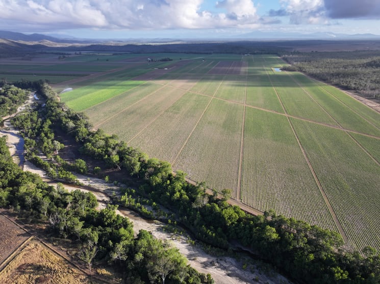 Click to view all images 1379-1383 Gunyarra Road Andromache QLD 4800 - Image 3