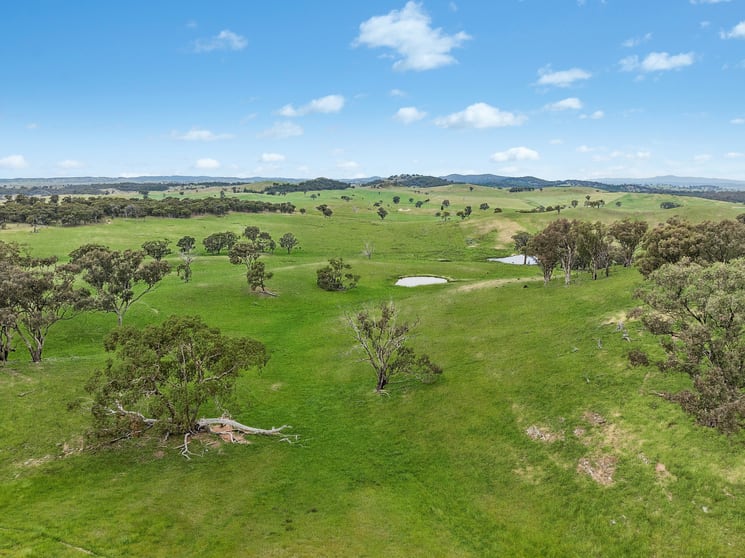 Click to view all images 1862 Euchareena Road Molong NSW 2866 - Image 2