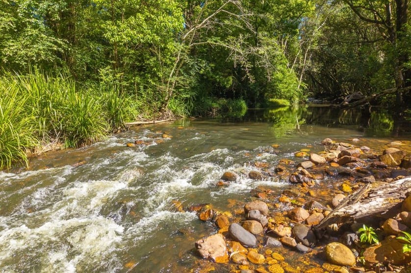 Click to view all images 119 Sullivans Road Lorne NSW 2439 - Image 2