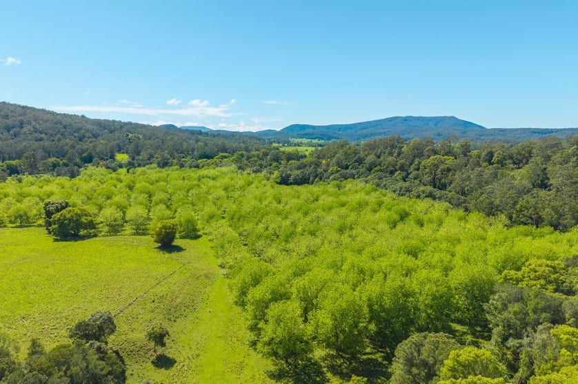 Click to view all images 119 Sullivans Road Lorne NSW 2439 - Image 3