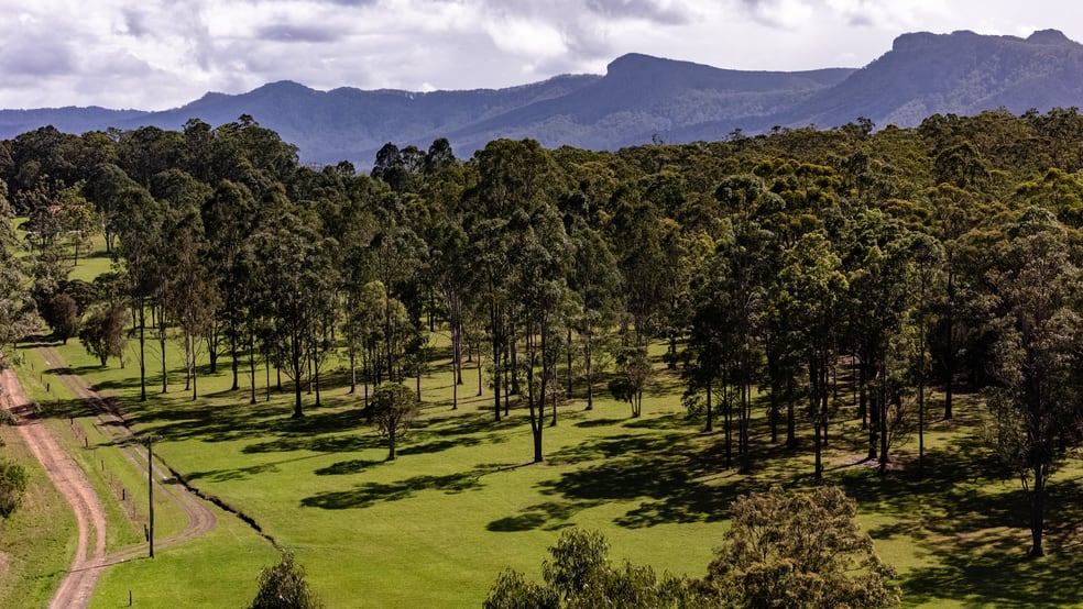703 Yarratt Road Upper Lansdowne NSW 2430 - Image 3
