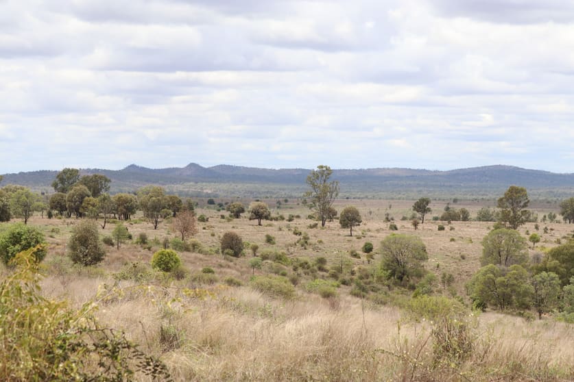 Click to view all images "Penlyn Hills" 811 Lowries Road Kokotungo QLD 4702 - Image 2