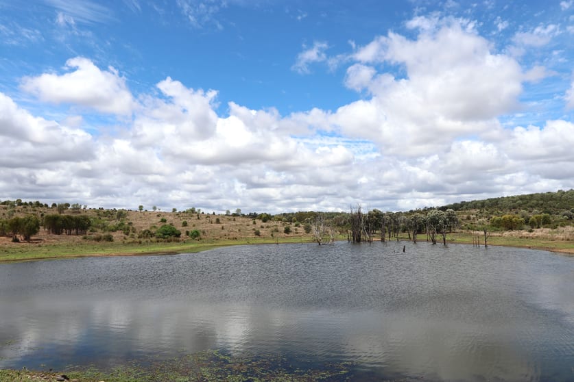 Click to view all images "Penlyn Hills" 811 Lowries Road Kokotungo QLD 4702 - Image 3