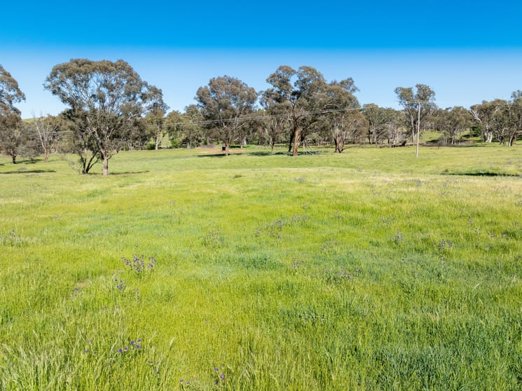 Click to view all images 'Weemala' 5736 Burrendong Way Stuart Town NSW 2820 - Image 3
