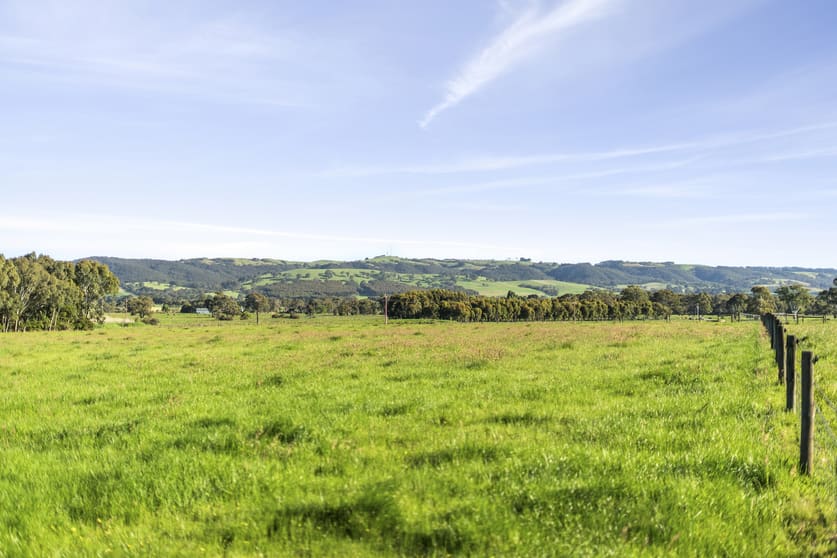 25 Higgs Road Myponga SA 5202 - Image 3