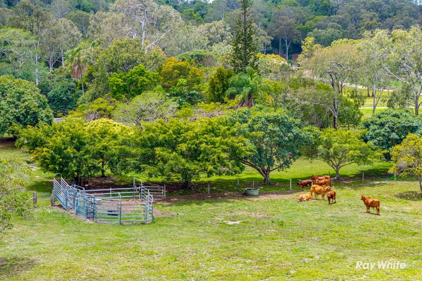 Click to view all images 176 Woodvale Park Road Adelaide Park QLD 4703 - Image 3