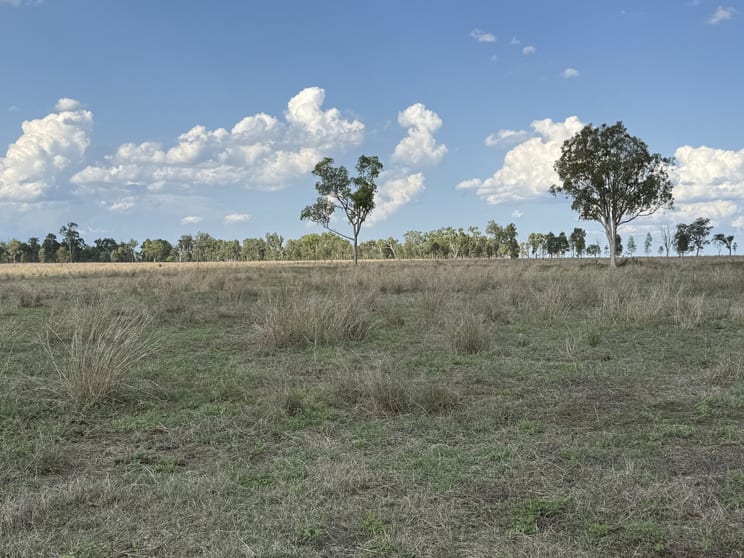 Click to view all images 10 Greggerys Road Gayndah QLD 4625 - Image 2