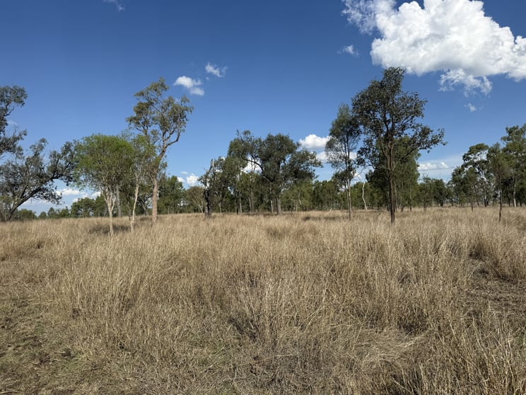 Click to view all images 10 Greggerys Road Gayndah QLD 4625 - Image 3