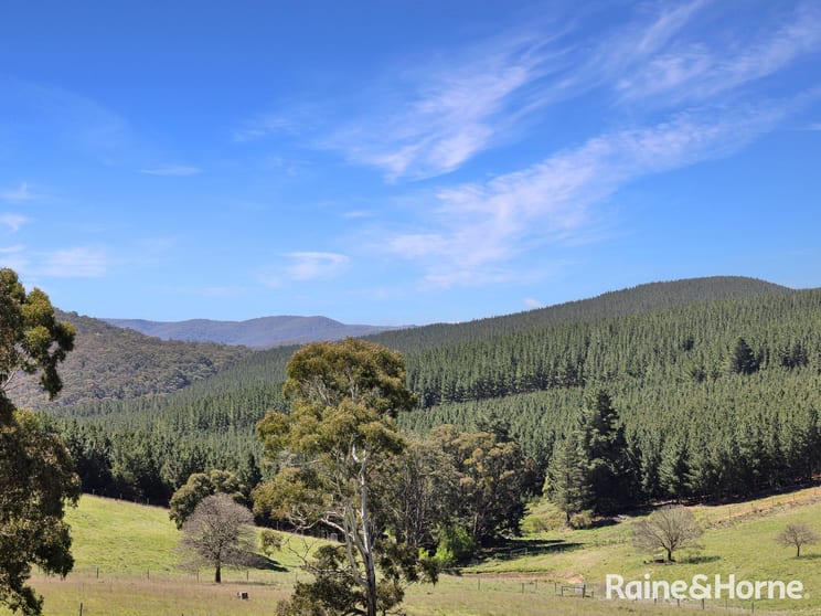 Click to view all images Lot 29 Mount Homer Road Yetholme NSW 2795 - Image 3