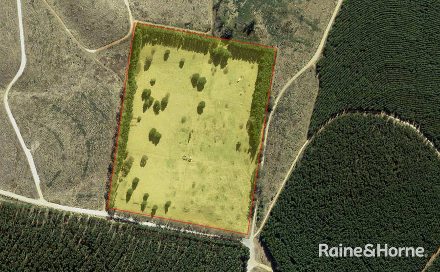 Click to view all images Lot 29 Mount Homer Road Yetholme NSW 2795 - Image 2